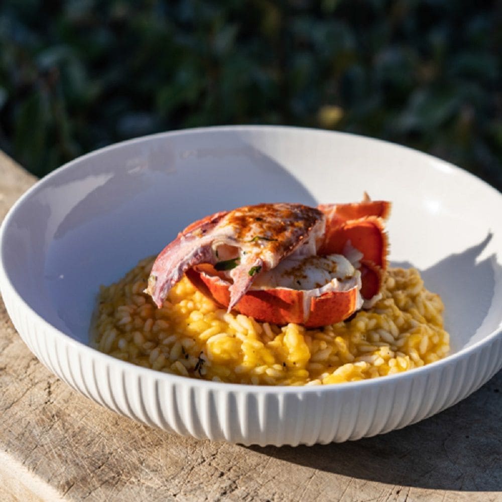 Embossed White Dinner Bowl Set, 24-cm, 4-pc R6H5 - product image 2