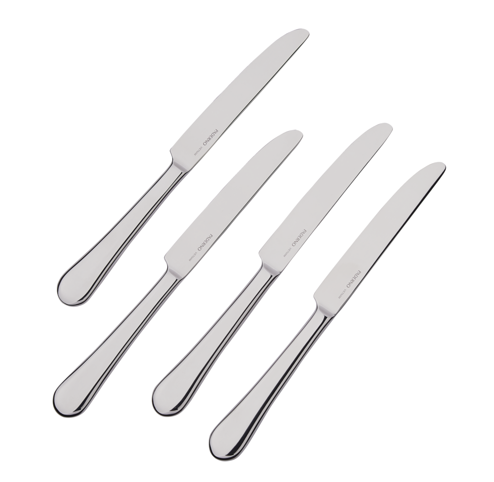 Stainless Steel Dinner Knives, 4-pc A4G5 - product image 1