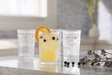 Vintage Embossed Glass Tumbler Set, 4-pk X0O6 - product image 4