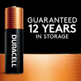 Coppertop AA Batteries, Alkaline, 4-pk L8R9 - product image 3