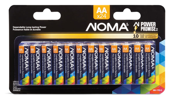 AA Alkaline Batteries, Long Lasting, All Purpose, 24-pk F3R9