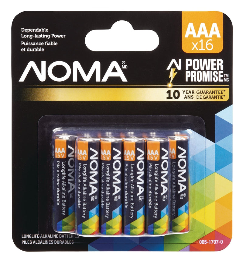 AAA Alkaline Batteries, Long Lasting, All Purpose, 16-pk P3T6