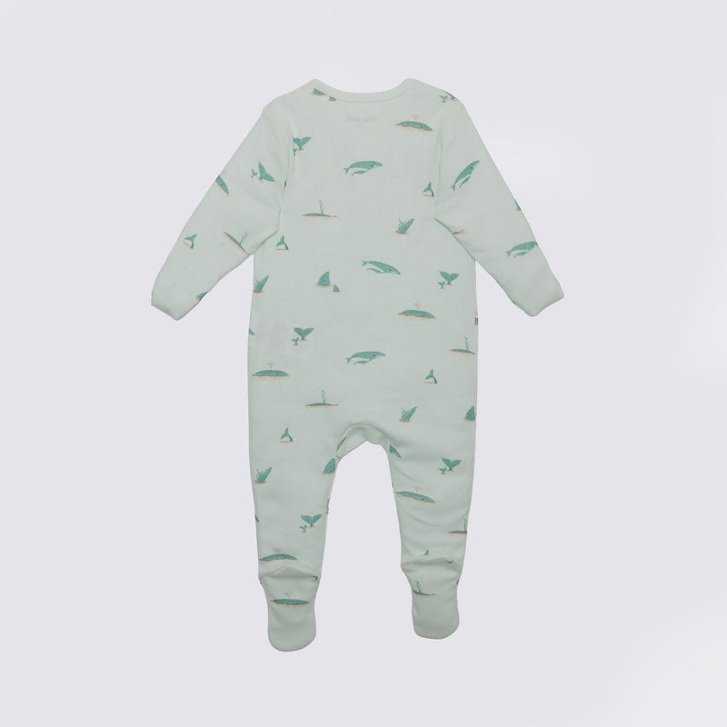 The Elk Baby Whale Print Premium Organic Cotton Play and Grow Zippy, Various Sizes Y4D3